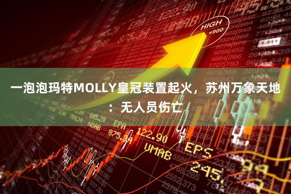 一泡泡玛特MOLLY皇冠装置起火，苏州万象天地：无人员伤亡