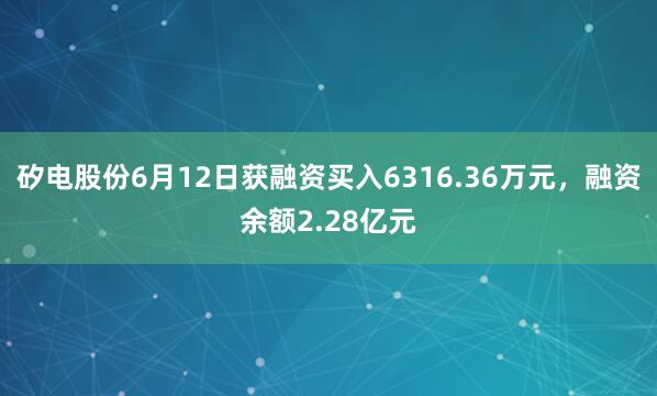 矽电股份6月12日获融资买入6316.36万元，融资余额2.28亿元